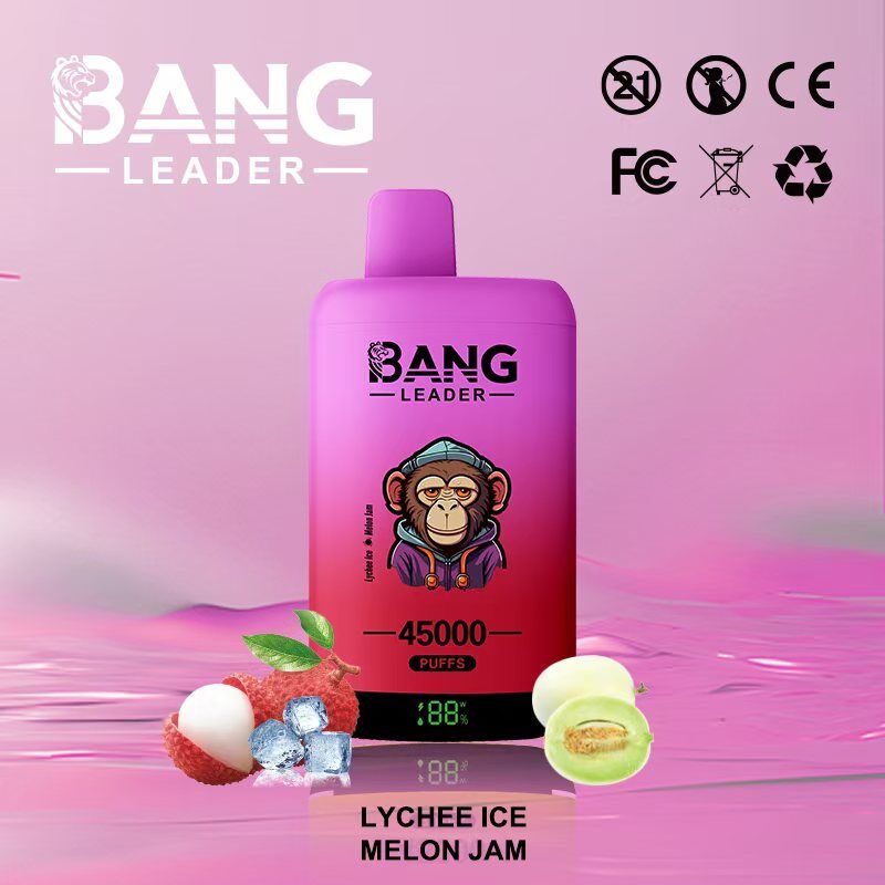 Bang Leader 45000 45k Puffs