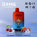 Bang Leader 45K Puffs Disposable Vape Raspberry Mojito Peach Ice & Apple Pear
