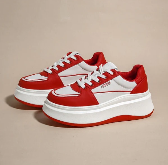 SAPATOS ELEGANTES - LOSMANI