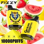 Fizzy Great 10000 Puffs Rechargeable Disposable Vapes