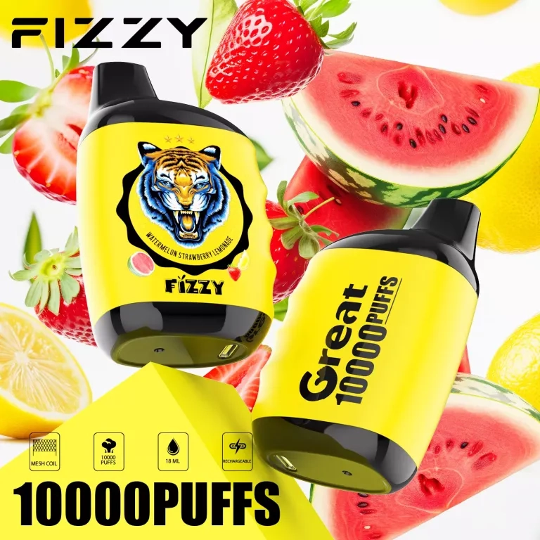 Fizzy Great 10000 Puffs Rechargeable Disposable Vapes