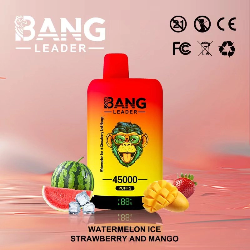Bang Leader 45K Puffs Disposable Vape Watermelon Ice & Strawberry And Mango