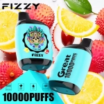 Fizzy Great 10000 Puffs Rechargeable Disposable Vapes