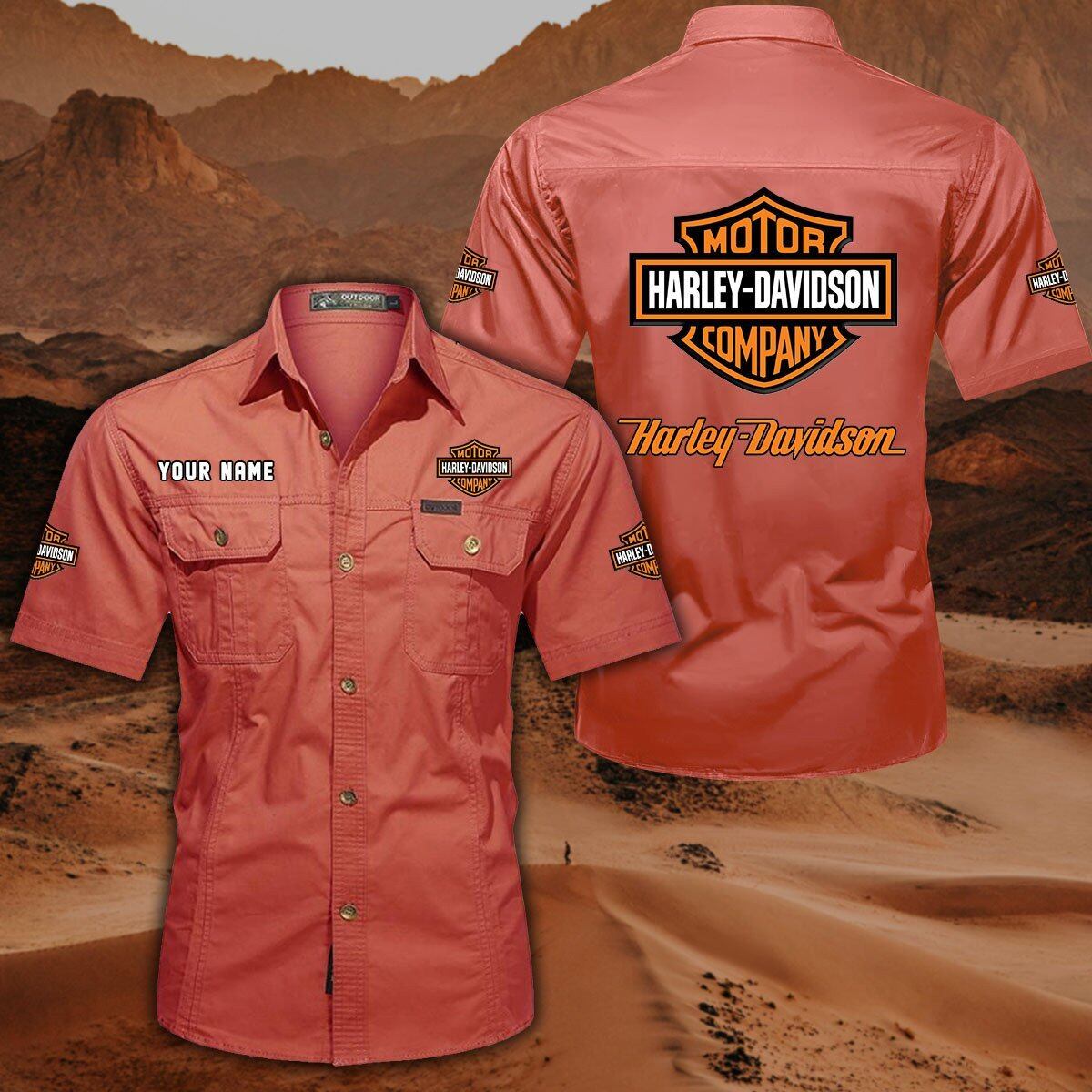 Harley-Davidson DDQQB10043