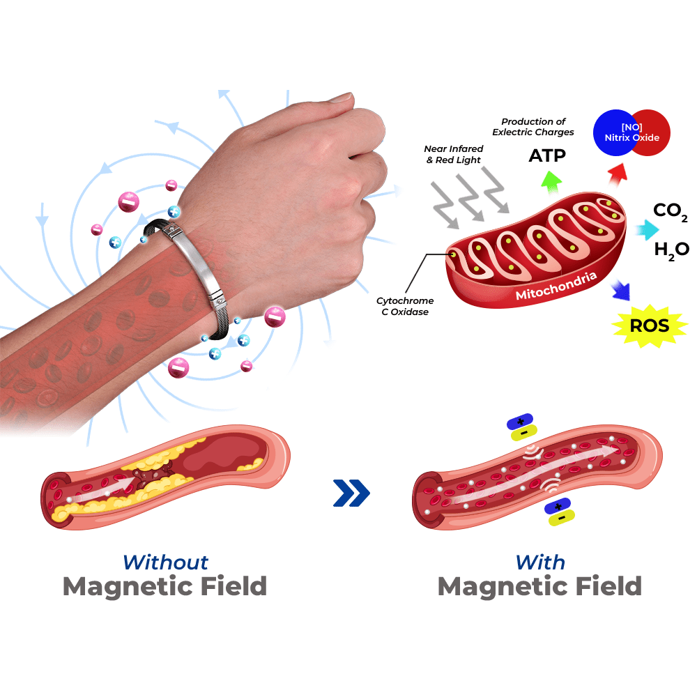 ГРИВНА GFOUK™ TITANIGLIMMER LYMPHVITY