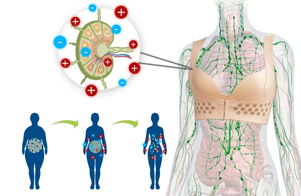 Oferta limitada (só restam 3)!! Obtenha 50% de desconto no sutiã de desintoxicação linfática Beslife™ para moldar e firmar os seios e levantar a postura