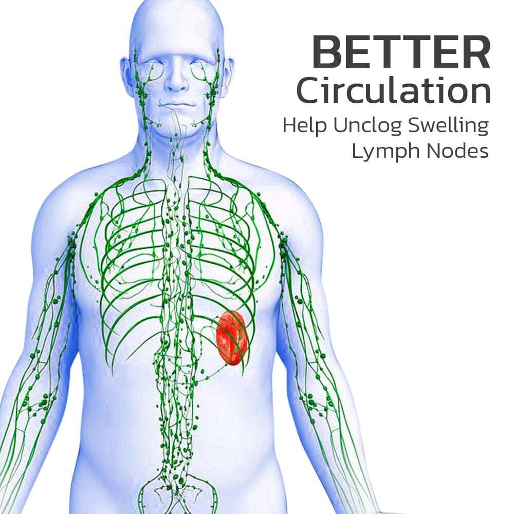 ГРИВНИ С МЪНИСТА GFOUK™ HUMANICPLUS MAXHEMATIE