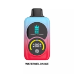 Dual Mesh Coil Disposable Vape 35K