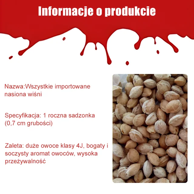 Sementes de cereja chilenas importadas