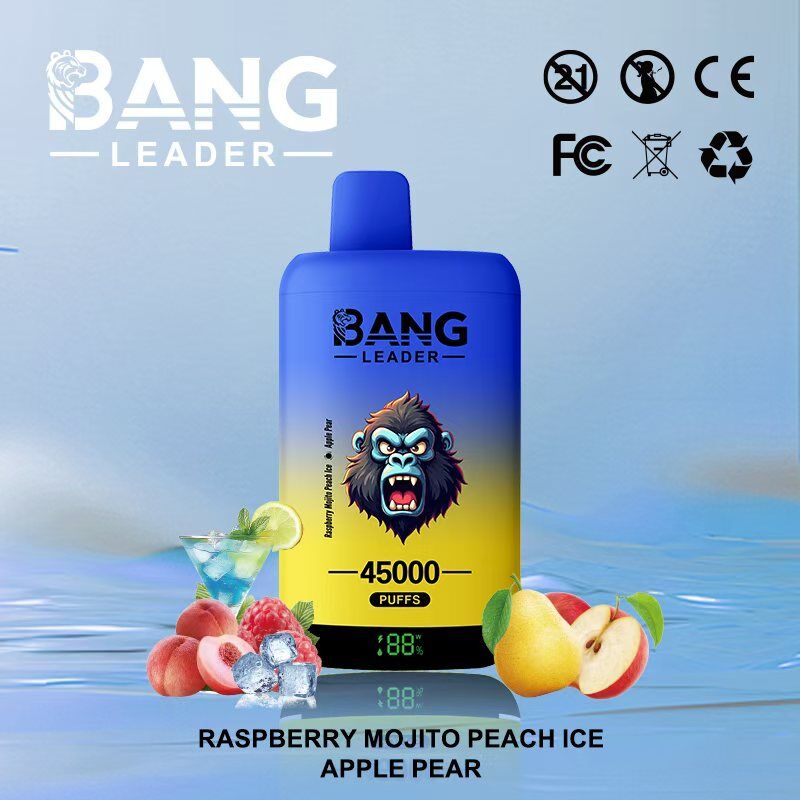 Bang Leader 45000 45k Puffs