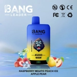 Bang Leader 45K Puffs Disposable Vape Lychee Ice & Melon Jam