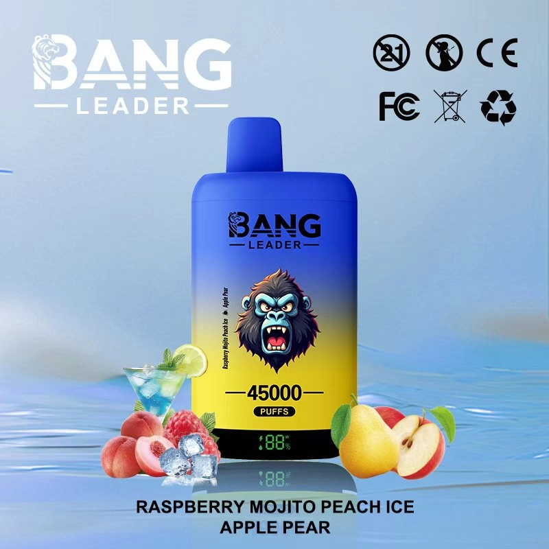 Bang Leader 45K Puffs Disposable Vape Lychee Ice & Melon Jam