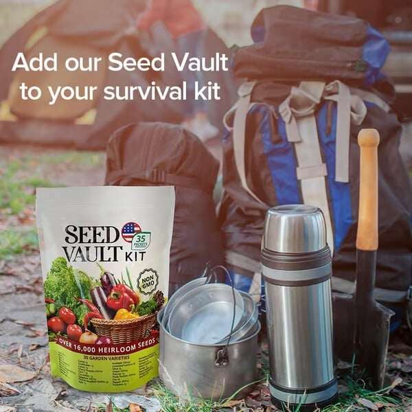 Kit de cofre de sementes de vegetais | Pacote com 35 variedades