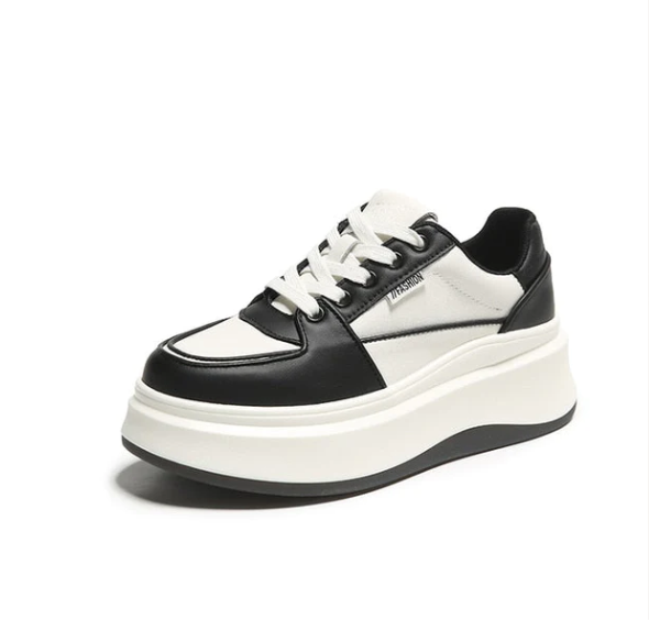 SAPATOS ELEGANTES - LOSMANI