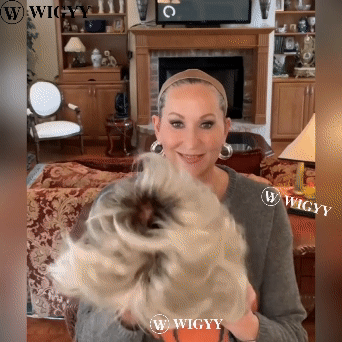 Perucas curtas elegantes cinza prateadas Wigyy