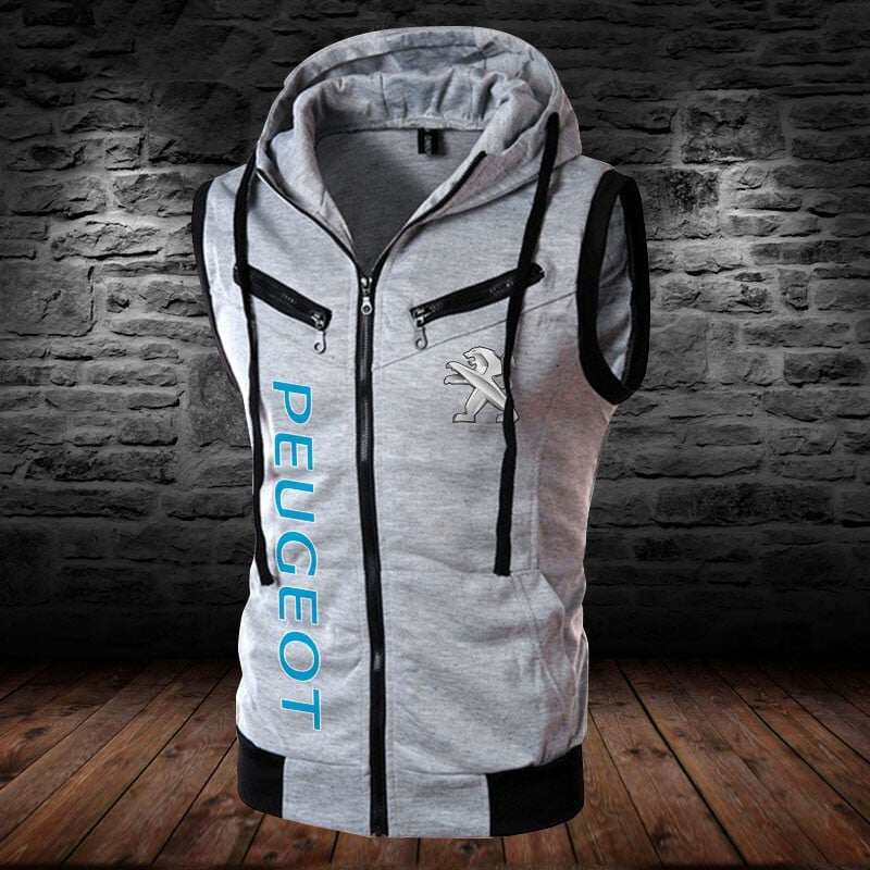 Peugeot WINSLVET10041