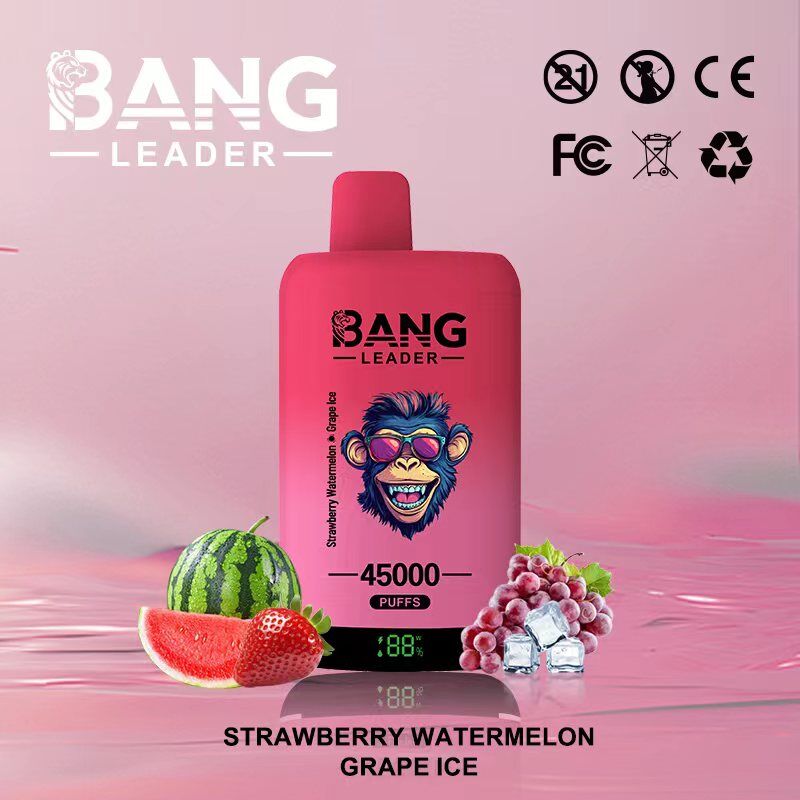 Bang Leader 45000 45k Puffs Dual Flavors Disposable Vape pen 0% 2% 3% 5% Nicotine 12Tastes LED Display Factory Direct