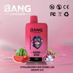 Bang Leader 45K Puffs Disposable Vape Strawberry And Watermelon & Kiwi Passion Fruit Guava