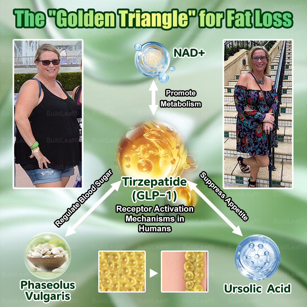 Clínica Mayo & Clevaland Oficial | BuildLeaf® Trizepatide GLP-1 Moringa Slimming & Health Boost Drops🔥 (Queimador de gordura de grau alimentício – Desenvolvido pela The Obesity Society)