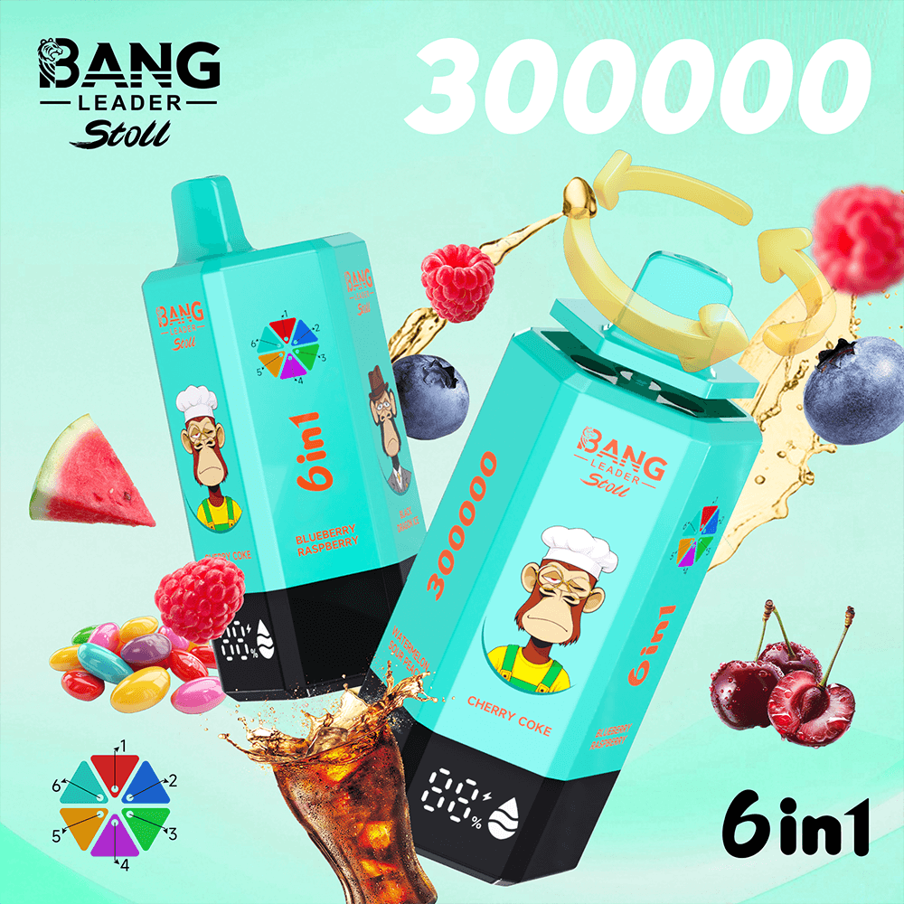 Bang Leader Stoll 300000 Puffs 6 in 1 Disposable Vape 0% 2% 3% 5% Nicotines 12Flavors Ultra Long Performance Smart Screen FDVape Factory Wholesale