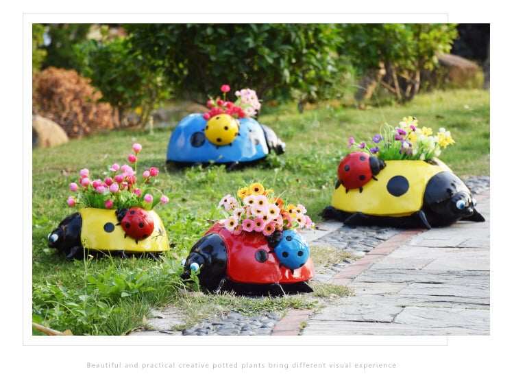 Sete estrelas de ornamento de joaninha ✨Buy hoje e receba 50% discount✨