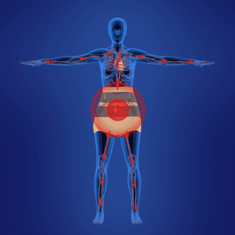 【Oficiální značkový obchod】 Šortky SHAPERMOV Detox Shaper, pohodlná prodyšná tkanina, obsahuje turmalín a grafenovou tkaninu