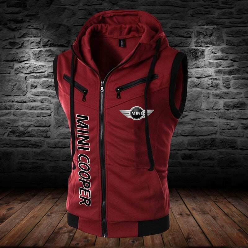 Mini Cooper WINSLVET10099