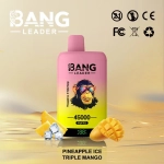Bang Leader 45K Puffs Disposable Vape Blueberry Ice & Strawberry And Banana