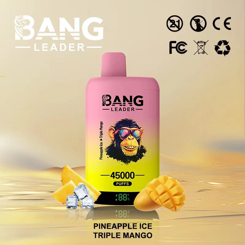 Bang Leader 45K Puffs Disposable Vape Blueberry Ice & Strawberry And Banana