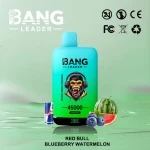 Bang Leader 45K Puffs Disposable Vape Blueberry Raspberry & Peach Mango Watermelon