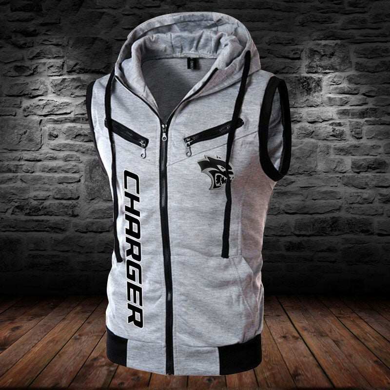 Dodge Charger WINSLVET10089