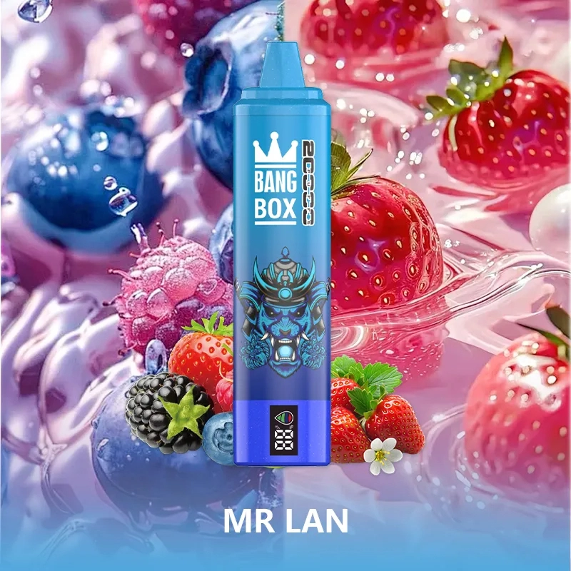 BANG BOX 20000 Puffs Dupla Ízes Eldobható Vape - Mr. Blue