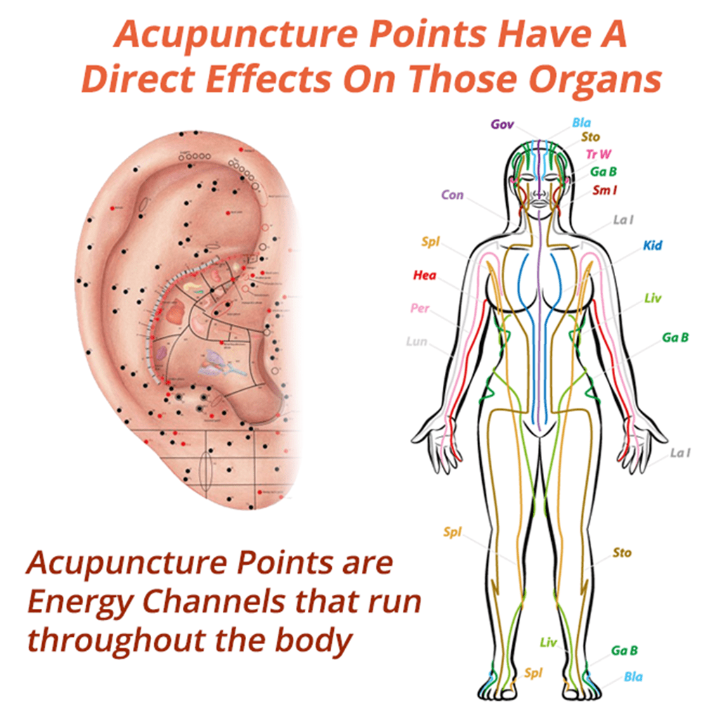 FLYSMUS™ LYMPHVITY MAGNETHERAPY ПИРОТИНОВИ ОБЕЦИ