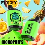 Fizzy Great 10000 Puffs Rechargeable Disposable Vapes